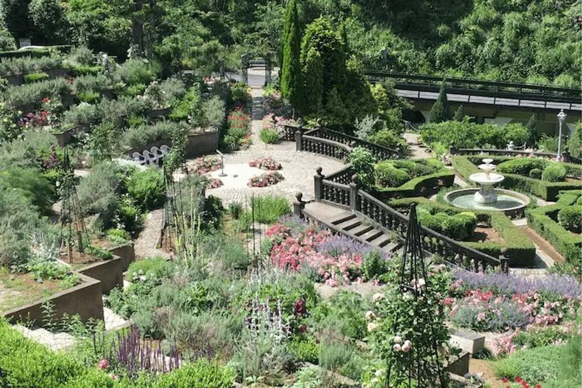 A garden filled with colorful flowers. The presence of nature before and after using the shared dog run enhances the travel experience with our beloved dogs.