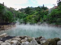 Hot Springs & Wellness