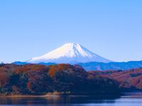 Practical Travel Info