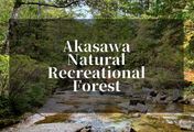 Akasawa Natural Recreation Forest - Forest Bathing on the Nakasendo Trail