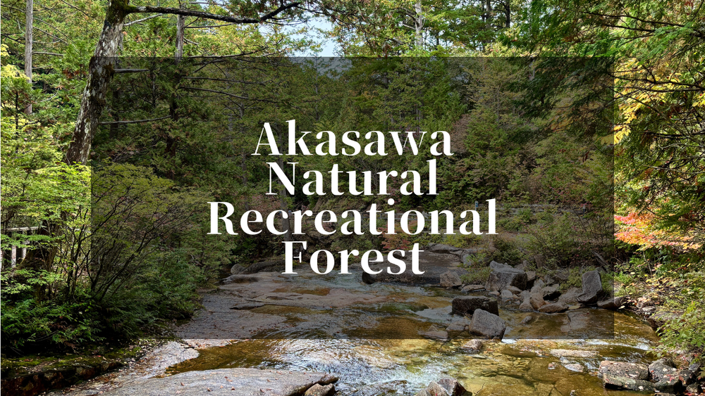 Akasawa Natural Recreation Forest - Forest Bathing on the Nakasendo Trail
