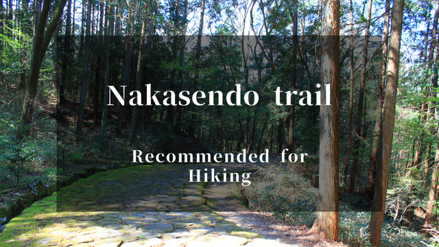 Travel article eyecatch image