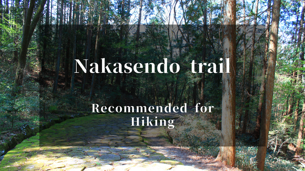 The Guide to Hiking the Nakasendo Trail