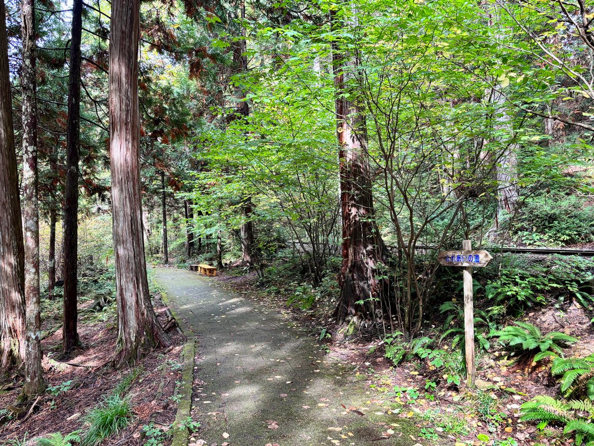 Akasawa Natural Recreation Forest