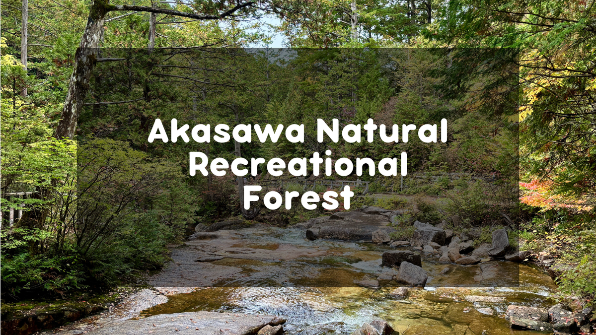 Akasawa Natural Recreation Forest - Forest Bathing on the Nakasendo Trail