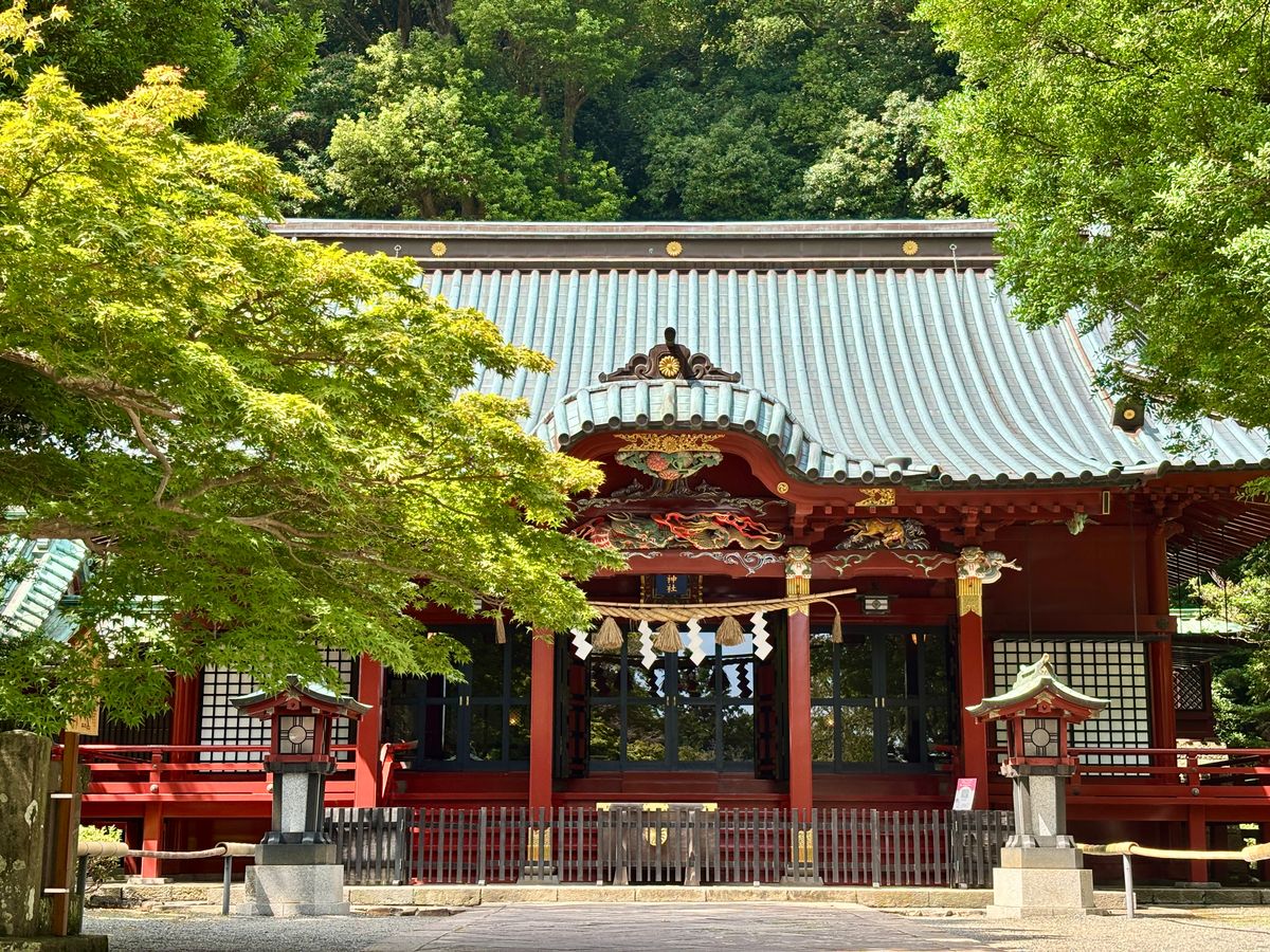 緑に囲まれた伊豆山神社の本殿