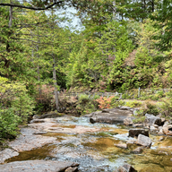 Akasawa Natural Recreation Forest - Forest Bathing on the Nakasendo Trail