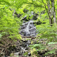 Kiso-Fukushima Joyama Nature Trail Hiking Experience