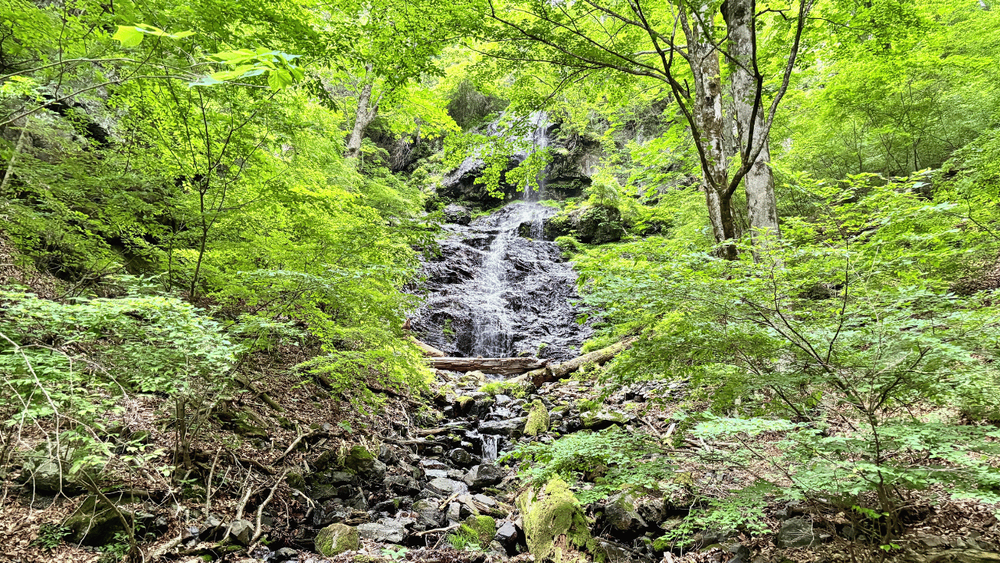 木曽福島・城山自然遊歩道ハイキング体験記