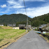 Nojiri to Suhara Nakasendo Trail: 8km Day Hike Guide | Kiso Valley