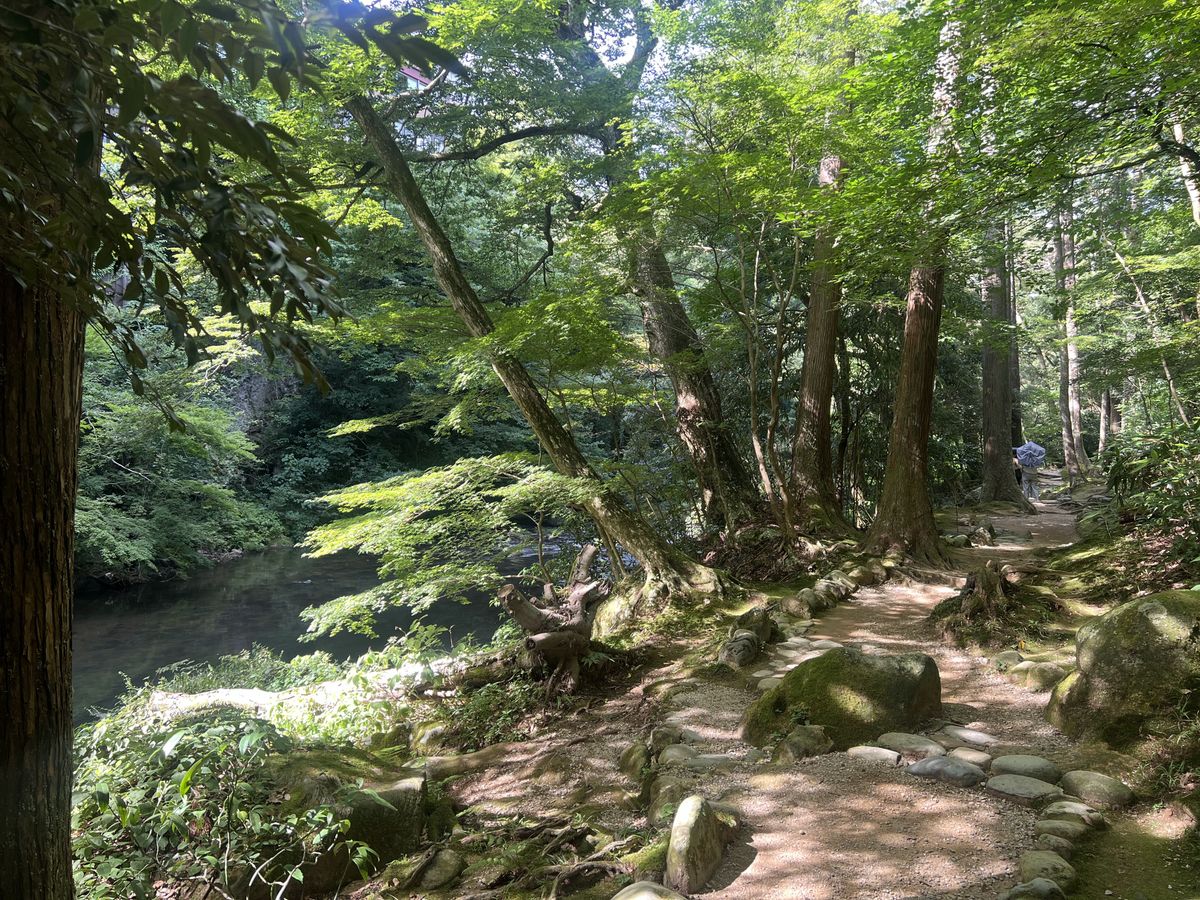 川沿いの遊歩道