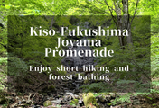 Kiso-Fukushima Joyama Nature Trail Hiking Experience