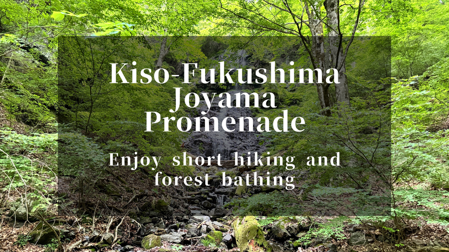 Kiso-Fukushima Joyama Nature Trail Hiking Experience