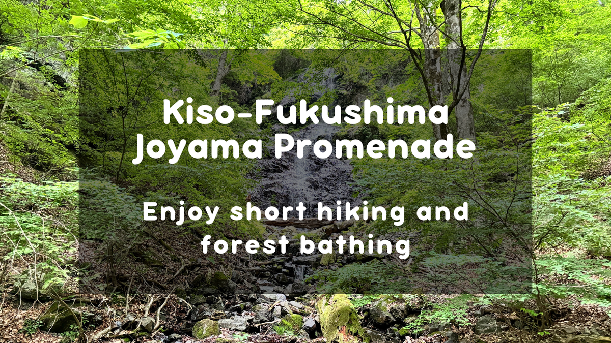 Kiso-Fukushima Joyama Nature Trail Hiking Experience
