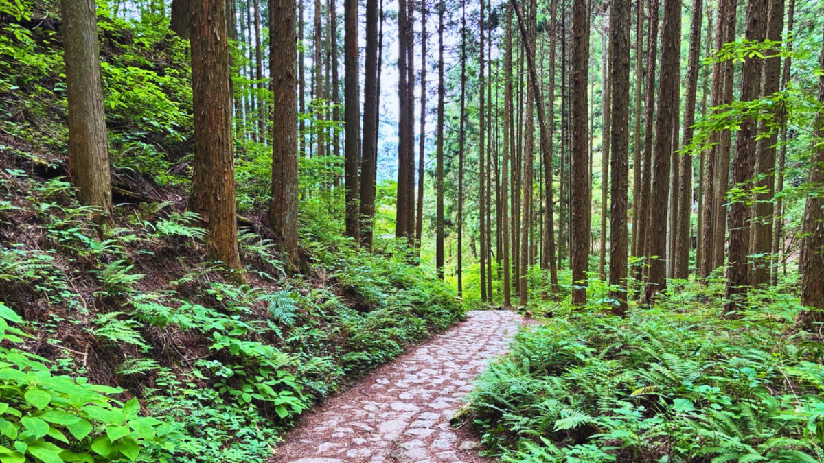 Nakasendo Trail