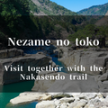 Nezame-no-Toko: A Mystical River Gorge near Agematsu Station