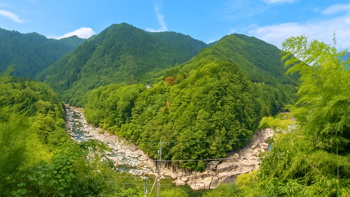 The overview of nezameno toko
