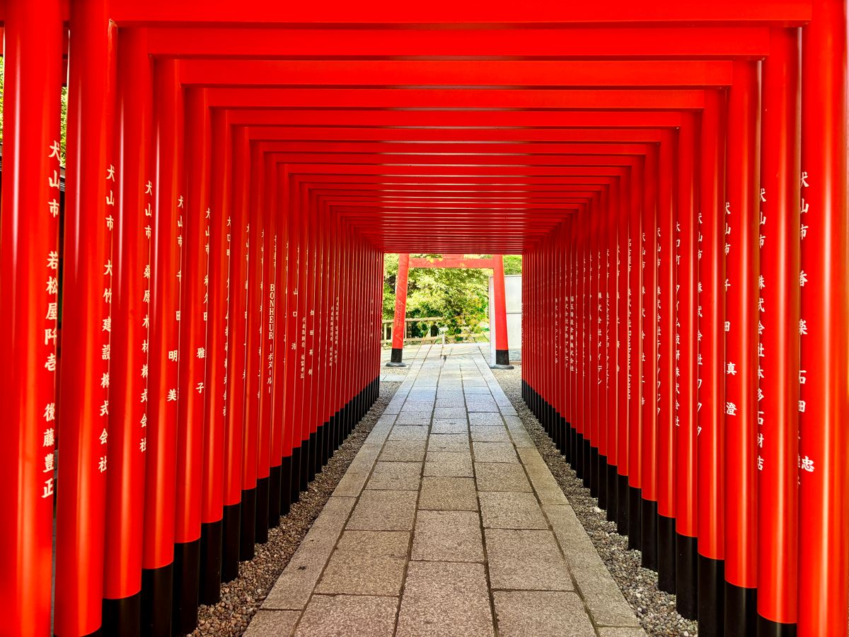 赤い鳥居のトンネル