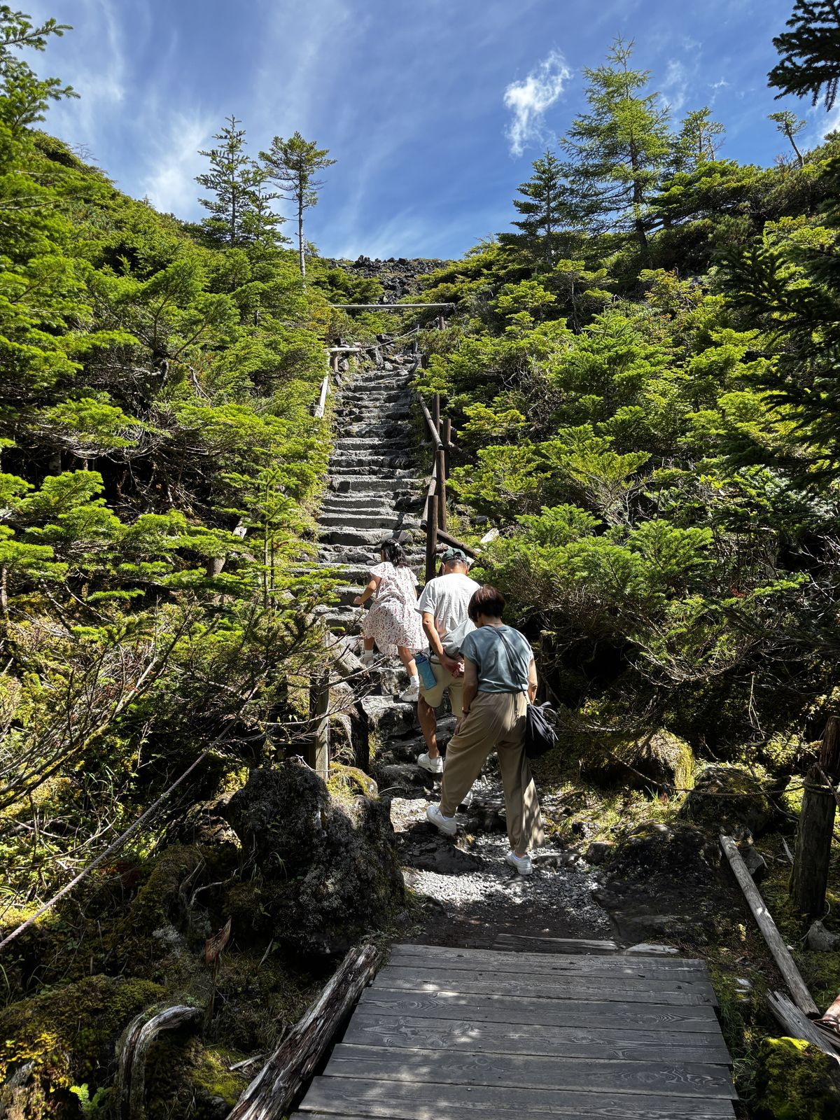 Parent and child walking the boardwalk through the moss forest just beyond Tsuboniwa