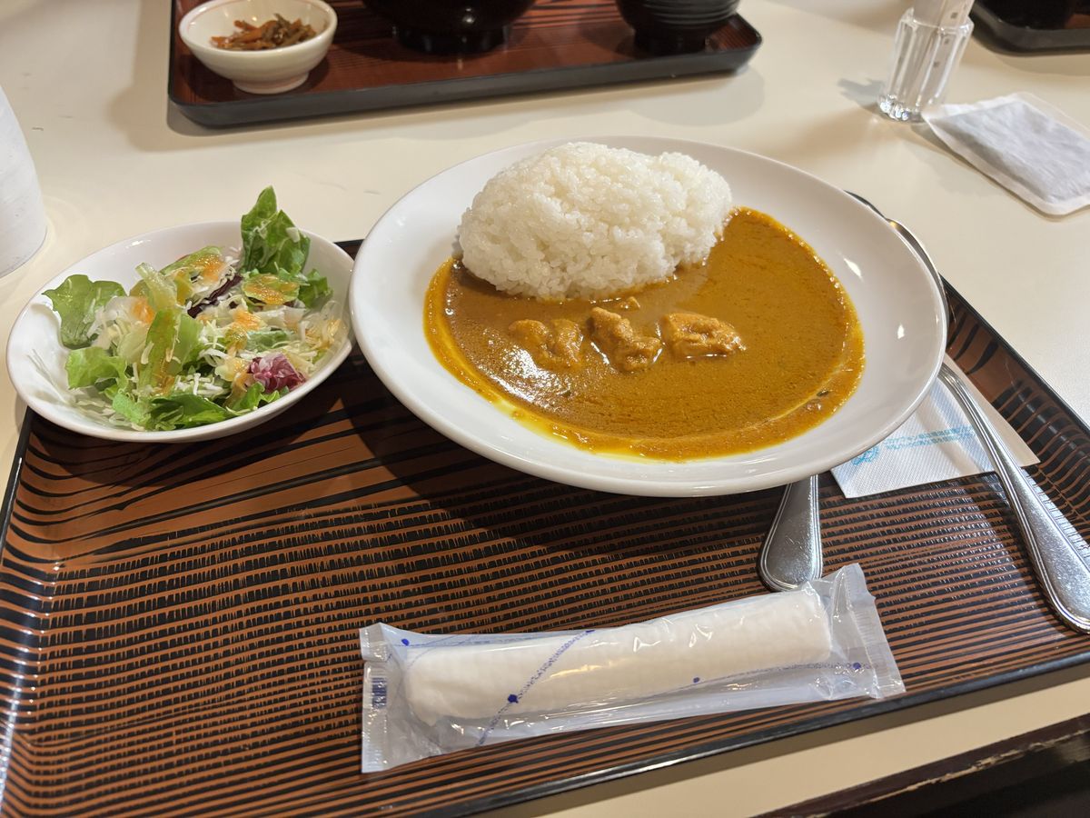 Chicken curry with rice and a small side salad on a wooden tray, a warm meal at the Murodo terminal