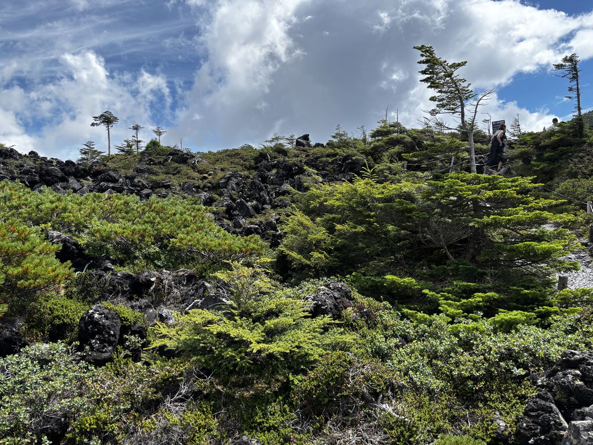 Hiker passing a trail sign on the Tsuboniwa lava plateau, its slope covered with rock and creeping pine