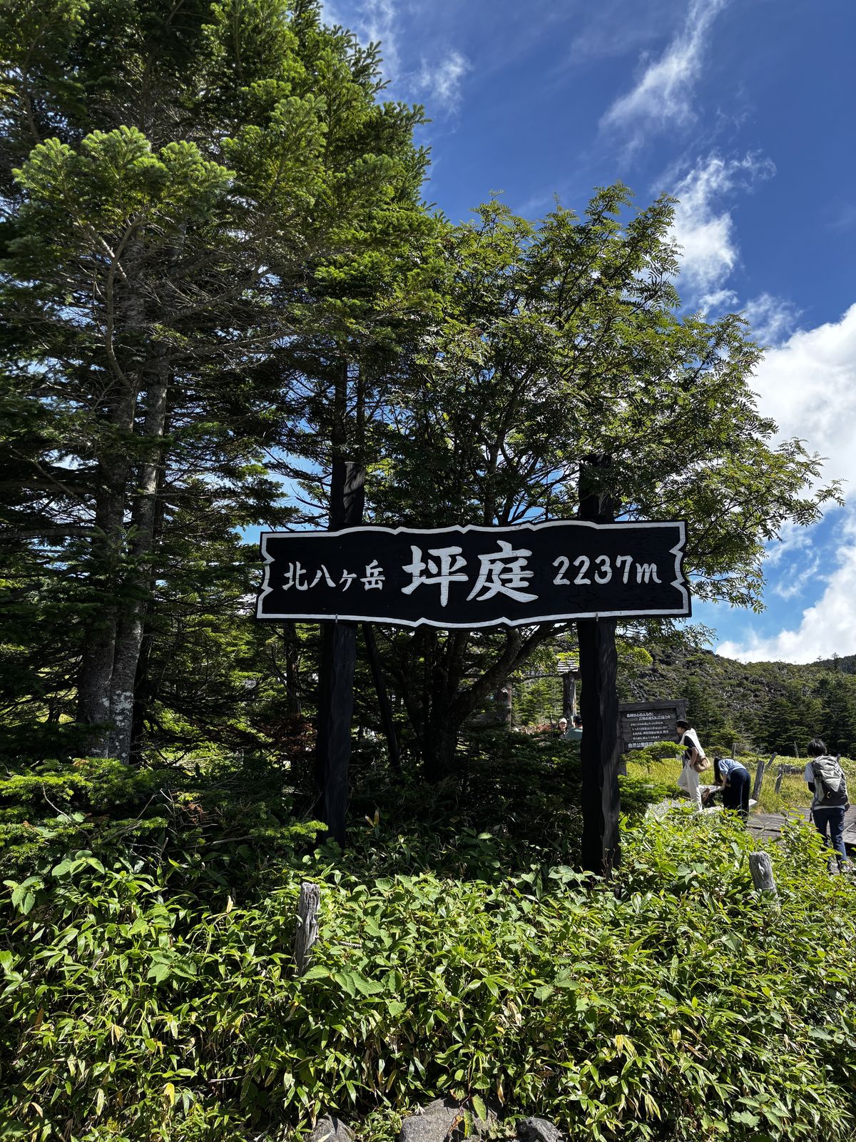 青空と緑の木々の中に立つ「北八ヶ岳 坪庭 2237m」の案内標識